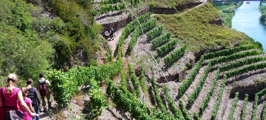 Calmont Klettersteig: Todesangst über der Mosel