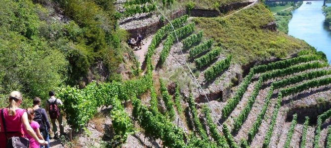 Calmont Klettersteig: Todesangst über der Mosel