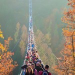 Hängebrücke im Hunsrück - Höhenrausch auf der Geierlay