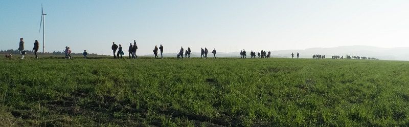 Hängebrücke im Hunsrück: Höhenrausch auf der Geierlay