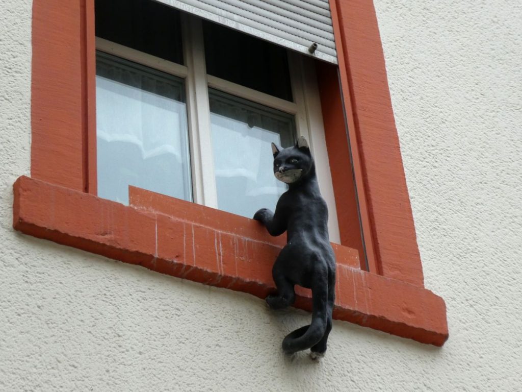 Bernkastel, Burgstraße, Katze