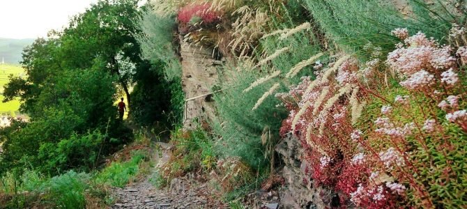 Kletterweg Erdener Treppchen: Wandern, wo der Pfeffer wächst