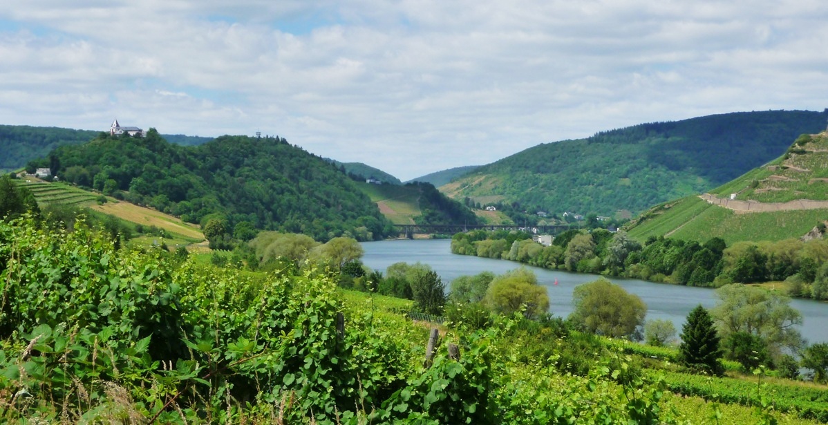 Magische Mosel! Diese 12 Orte verzaubern