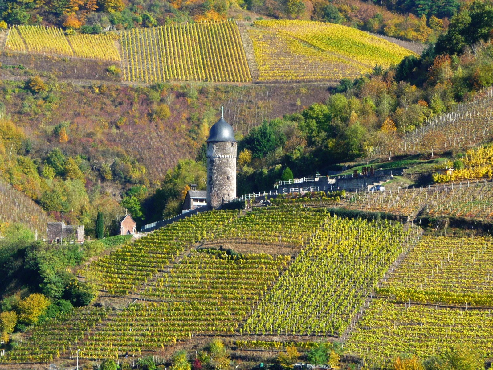 Der runde Pulverturm steht im Weinberg. Pulverturm, Zell