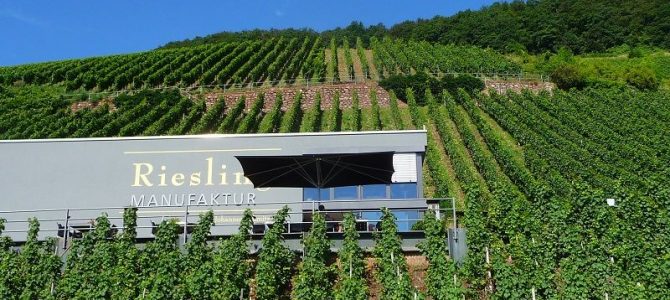 Weingut Rebenhof in Ürzig: Design zum Wein Weingut Rebenhof in Ürzig: Design zum Wein