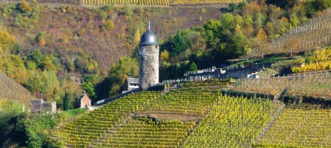 Zell: 17 Gründe für den Besuch