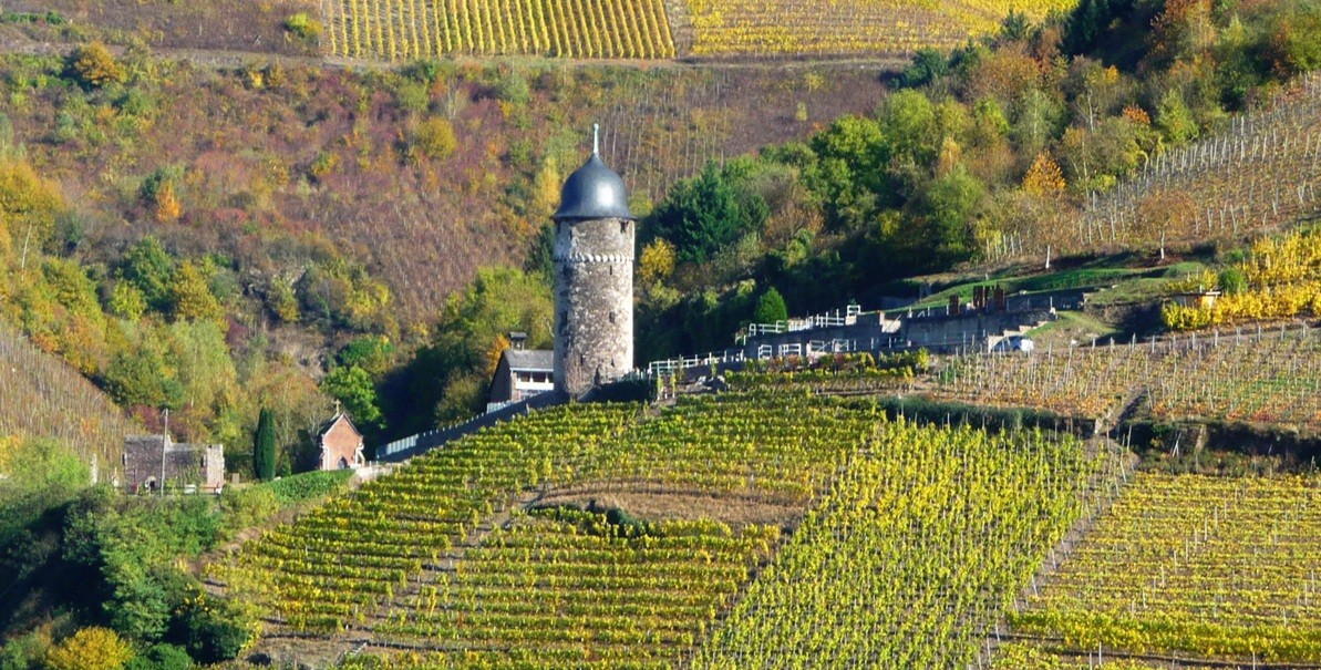 Zell: 17 Gründe für den Besuch Zell: 17 Gründe für den Besuch